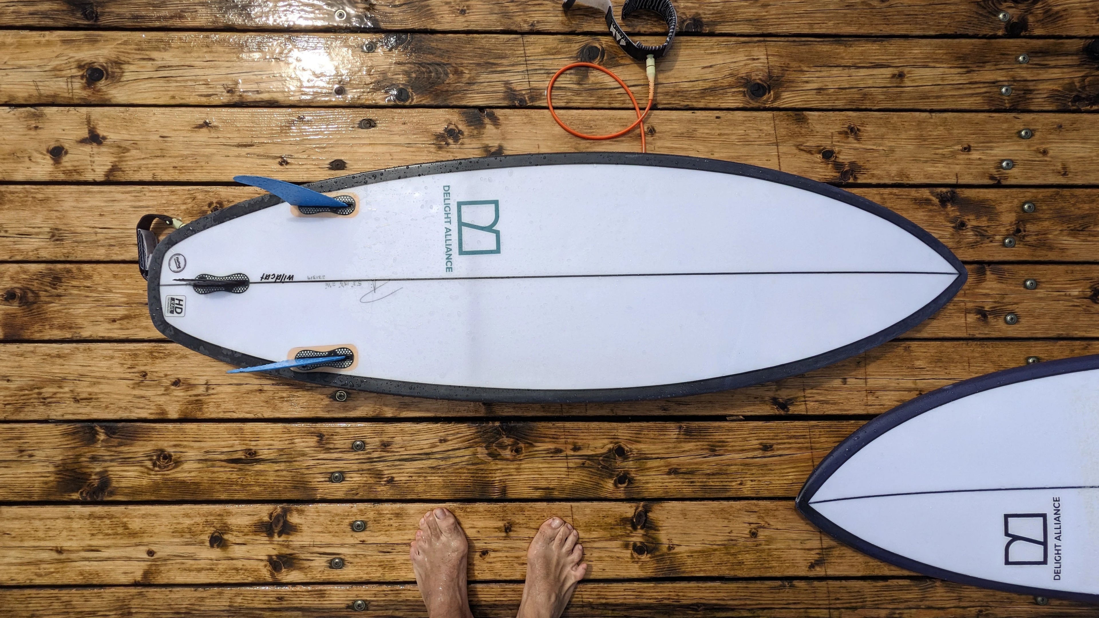 Delight Alliance, Wild Cat, surfboard
