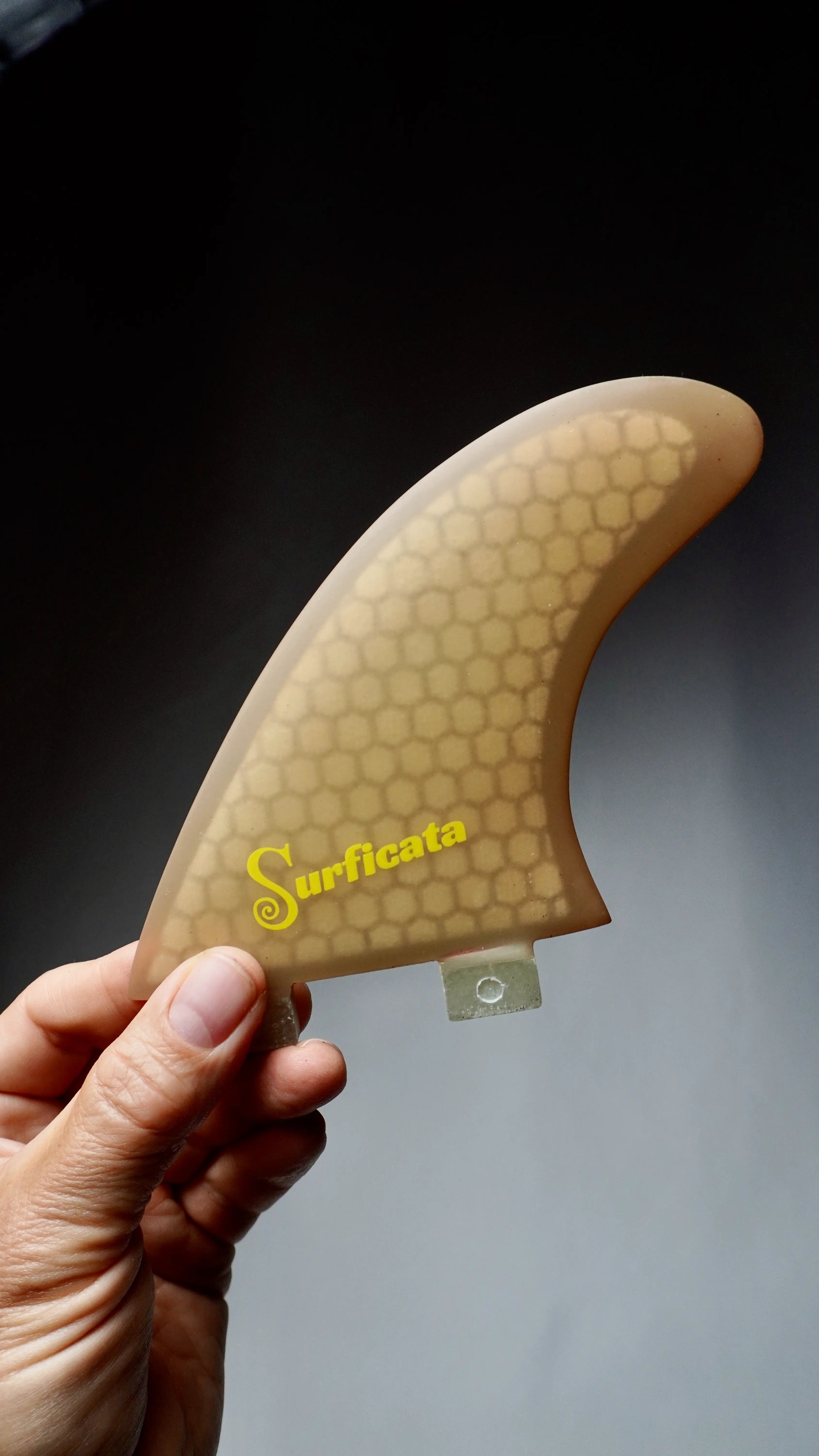 Surficata Honeycomb finy FCSI, velikost M, jeden kus